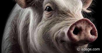 NotCo uses AI to show animals living a full life in first ads under Fernando Machado