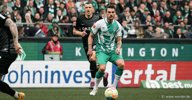 Eine Rückkehr mit Rückenwind