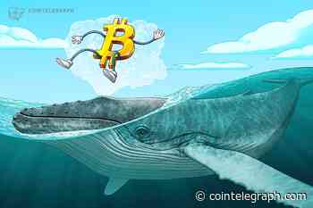 Bitcoin 'mega whales' send BTC price to $30K as volatility hits crypto