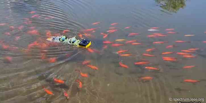 Video Friday: AmphiSAW