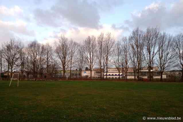 Concrete plannen voor toekomst van grasveld in Bosstraat
