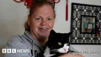 Cost of living: Pet owner would 'rather starve' to feed cats