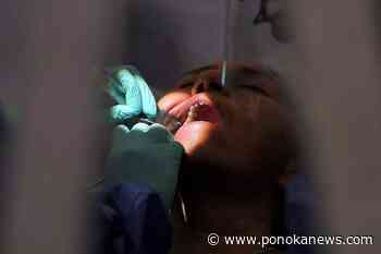 Thousands of Canadians missed out on federal housing and dental benefits: report