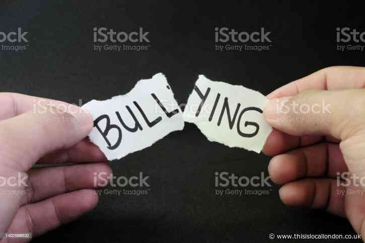How bullying affects you- Aisha Zaffar- The Langley Academy