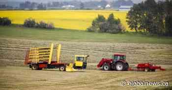 Prairie farmers hope for ‘normal’ season after volatile couple of years