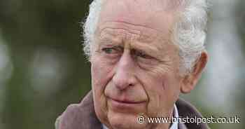 Channel 4 TV listings on King's Coronation day include Prince Andrew documentary and comedy shows