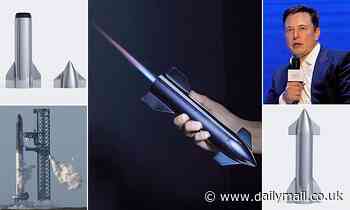 Elon Musk's most bizarre invention yet? SpaceX unveils a Starship rocket-shaped BLOWTORCH