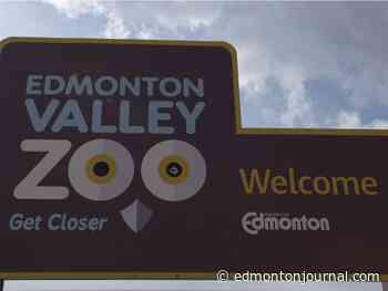 Woman hospitalized following snake bite call at Edmonton Valley Zoo
