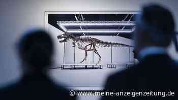Seltenes T. rex-Skelett für Millionensumme versteigert