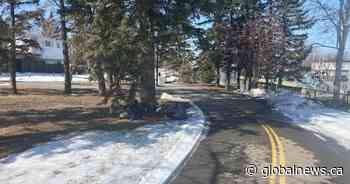 City of Calgary launches park plan engagement