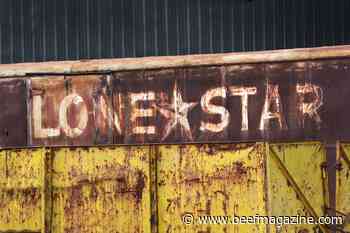 Tough environments require tough cows