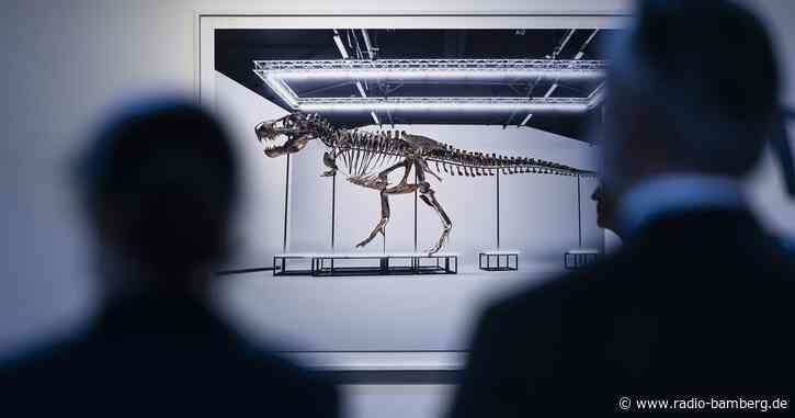 Seltenes T. rex-Skelett für Millionensumme versteigert