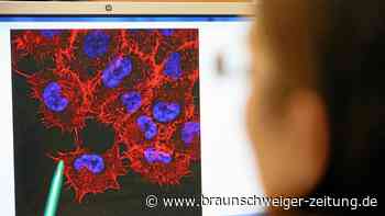 mRNA-Wirkstoff gegen Krebs: Unternehmen melden neuen Erfolg