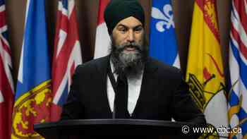 Singh proposes corporate tax hike tied to CEO-worker pay gap