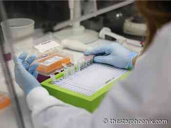 Regina's COVID-19 wastewater concentration remains high, Saskatoon sees decrease