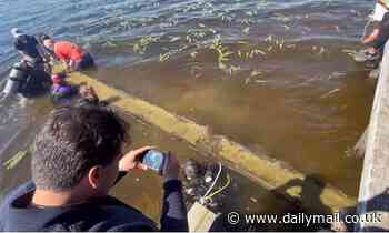 Specialists recover 930-year-old Native American canoe from a North Carolina lake