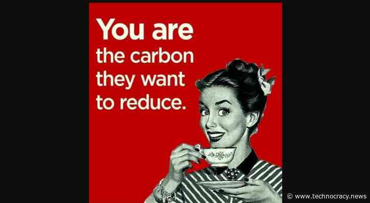 Now Rice Farming Is Being Targeted For Carbon Reductions