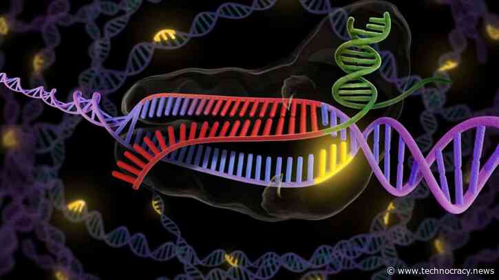 Rectenwald On Transhumanism: Hacking Humanity