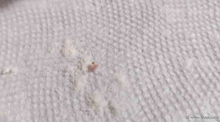 'It was moving': Austin-area mom finds worms in 8-month-old baby's formula