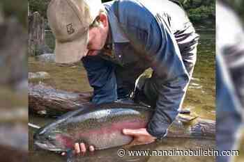 ‘Shockingly huge’ steelhead salmon escape fish farm, threatening B.C. lake