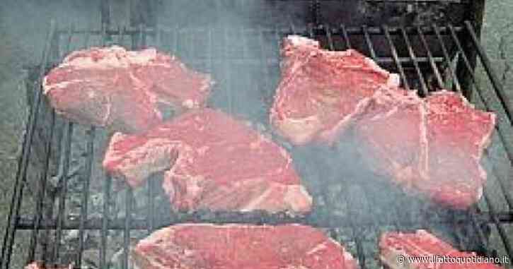 Bologna, il sindaco limita i barbecue contro le polveri sottili: multa di 200 euro a un 30enne