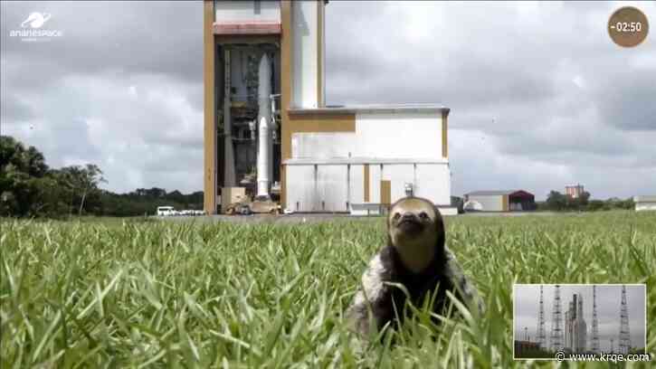 Sloth steals the show during Jupiter mission launch broadcast