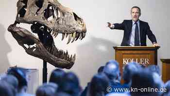 Dinosaurier-Skelett versteigert: 5,6 Millionen Euro für einen Tyrannosaurus rex