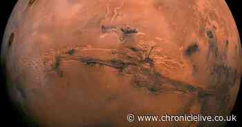 NASA rover discovers 'dragon bones' on Mars