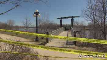 Human remains found in south Point Douglas Saturday were those of unidentified woman: Winnipeg police