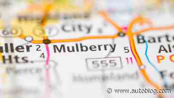 Florida Man's reaction to car crash? Strip down to boxers, flee into swamp