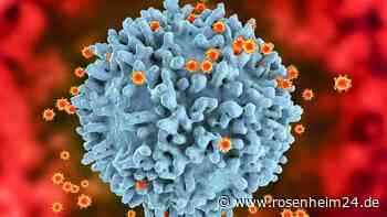 97 % entwickeln Antikörper: Neuer Impfstoff gegen HIV macht Hoffnung