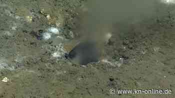 USA: Forschungsteam entdeckt sprudelndes Loch im Meeresboden