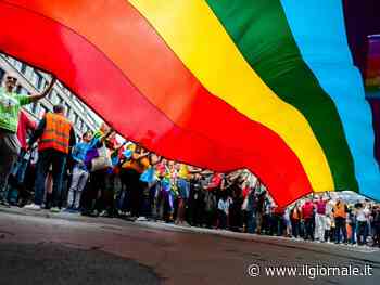 "Figli arcobaleno più resilienti". La psicanalisi Lgbt contro la famiglia tradizionale
