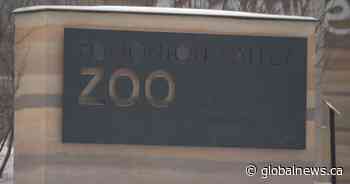 Edmonton zoo employee taken to hospital after bite from non-venomous python