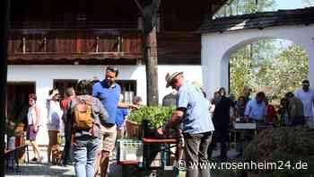 „Querbeet“ durch den heimischen Garten: Pflanzentauschbörse im Bauernhausmuseum Amerang