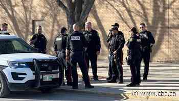 2 teens charged after fight involving bear spray, replica firearm at Kildonan Place: police