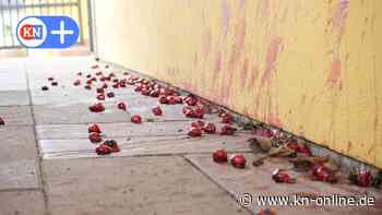 Hessen: Unbekannter bewirft Autos mit 200 Tieraugen - Polizei ermittelt