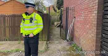 Six taken to hospital after two dogs 'on the loose and attacking people' near school