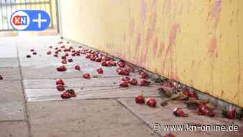 Hessen: Unbekannter bewirft Autos mit 200 Tieraugen – Polizei ermittelt