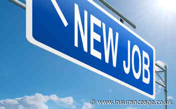 Policy Expert reveals recruitment drive