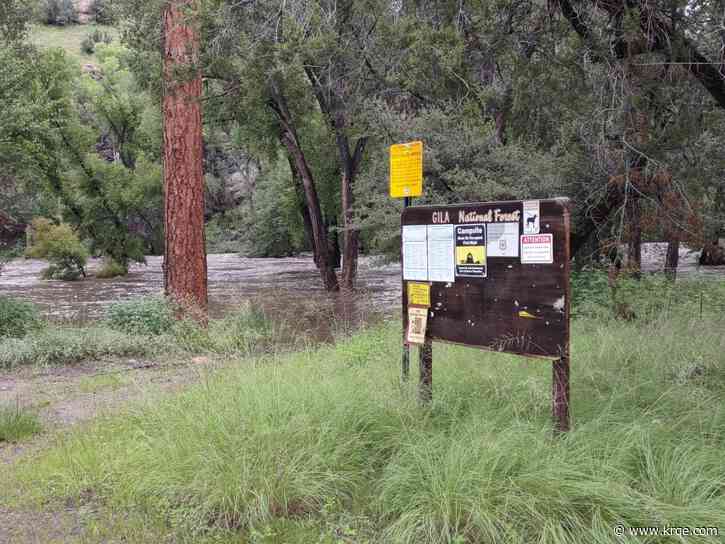 Gila National Forest seeks input on Grapevine Campground proposals