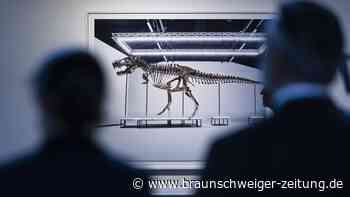 Seltenes T. rex-Skelett für Millionensumme versteigert