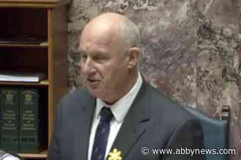 Question Period heats up in public safety debate following number of stabbings in B.C.