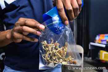 Planning a Trip? Oregon's Magic Mushroom Experiment Advances