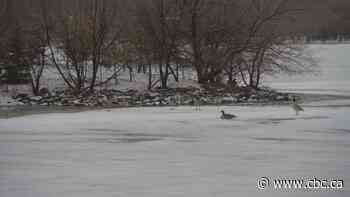 'It's on our doorstep': Environment Canada warns of spring storm heading for Saskatchewan