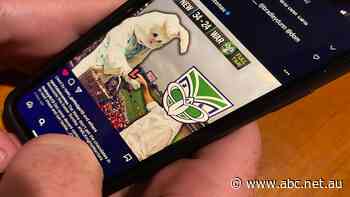 'All my mates gamble': Online sports betting is changing the way young people watch sport