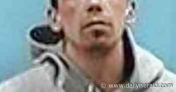 Pair charged in wake of attempted robbery outside Grayslake ice cream shop