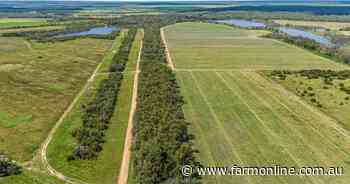 Scaled up Elliot River horticultural enterprise delivers