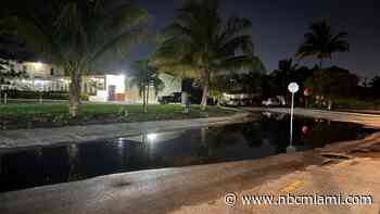 As Neighborhoods Dry Up, Broward Works to Prevent Mosquito Infestation