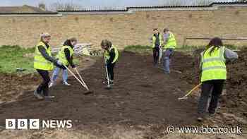 Harlow: Gardeners start replanting at allotment after salt attack